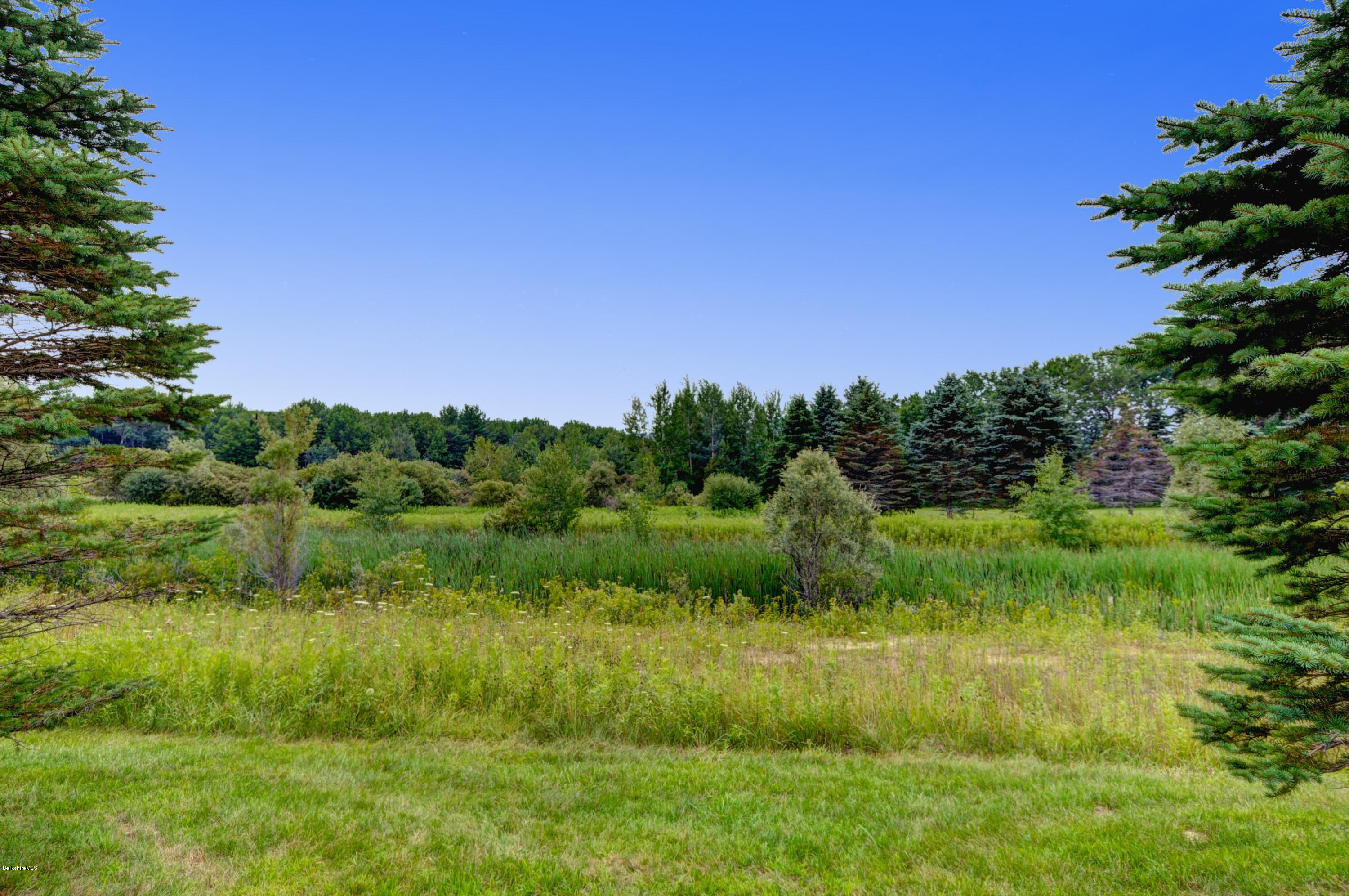124 Red Barn Road, Unit 124 Dalton, MA 01226 - Photo 28 of 36 Back Yard