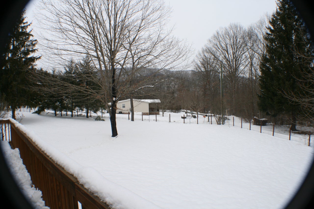 60-14 Harts Run Loop Road Caldwell, WV 24925 - Photo 11 of 12 winter scene