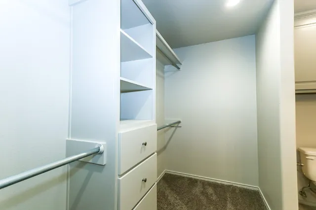 a view of walk in closet