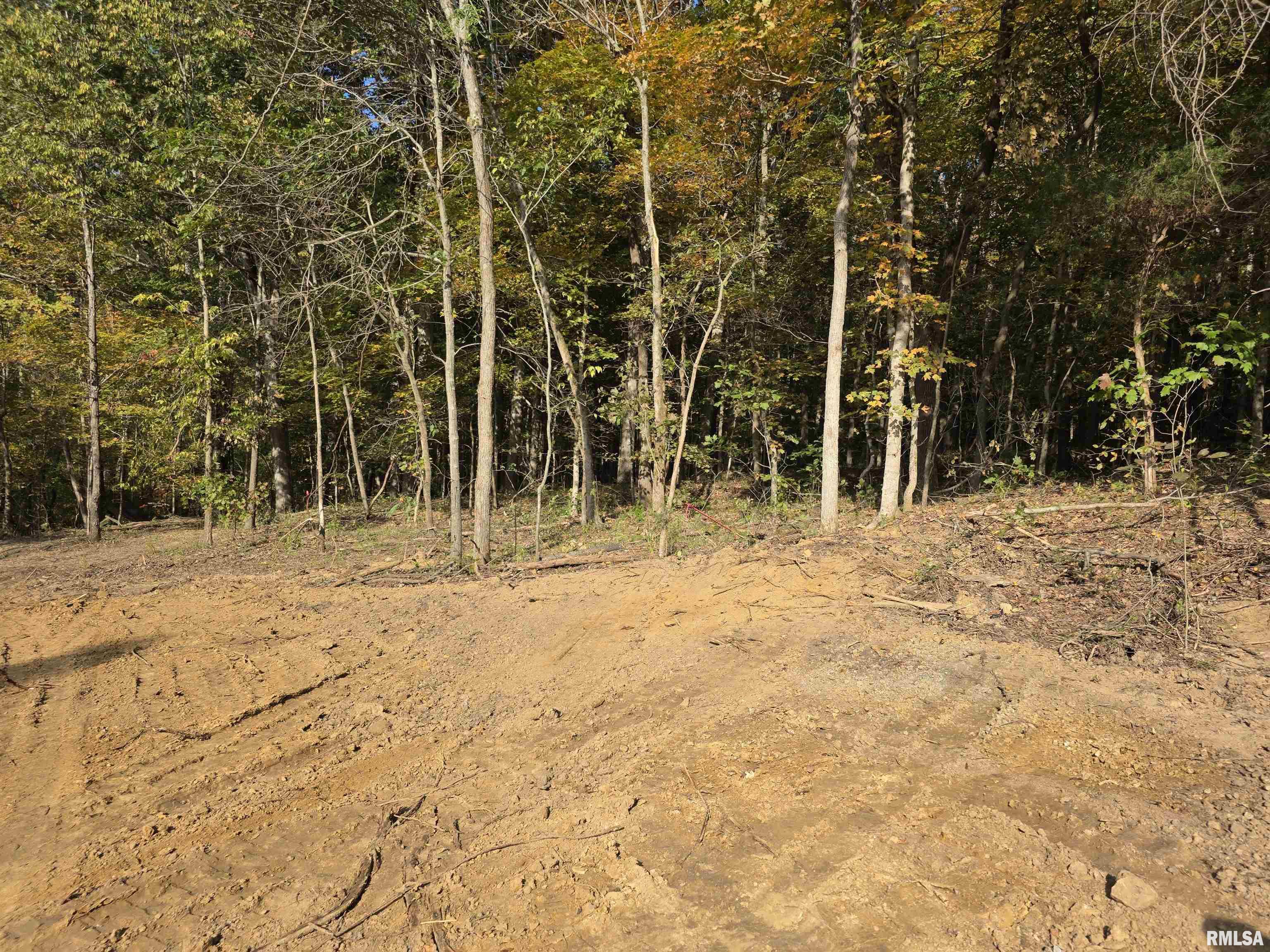 255 Yellow Springs Road Elizabethtown, IL 62931 - Photo 12 of 15