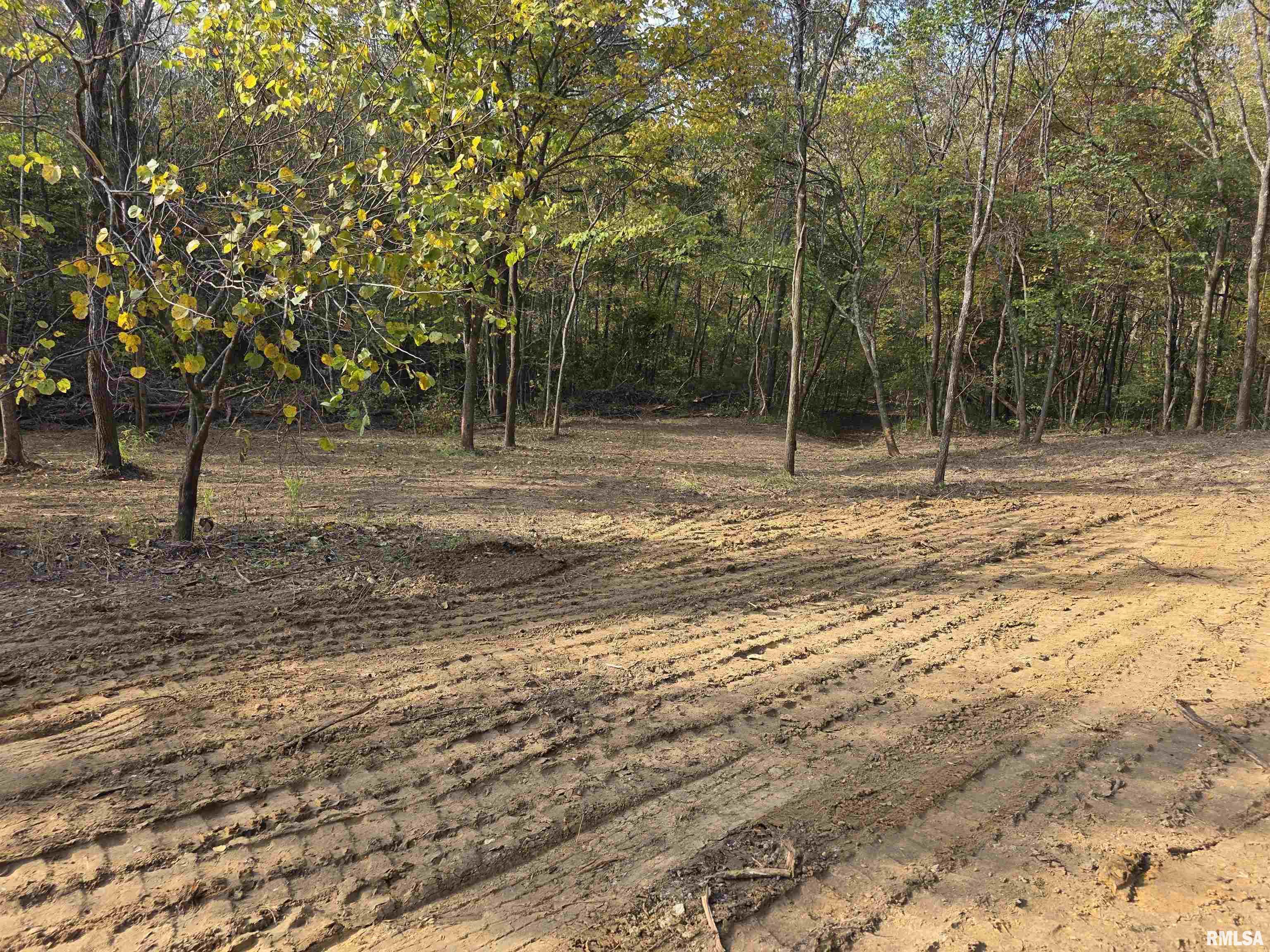 255 Yellow Springs Road Elizabethtown, IL 62931 - Photo 13 of 15