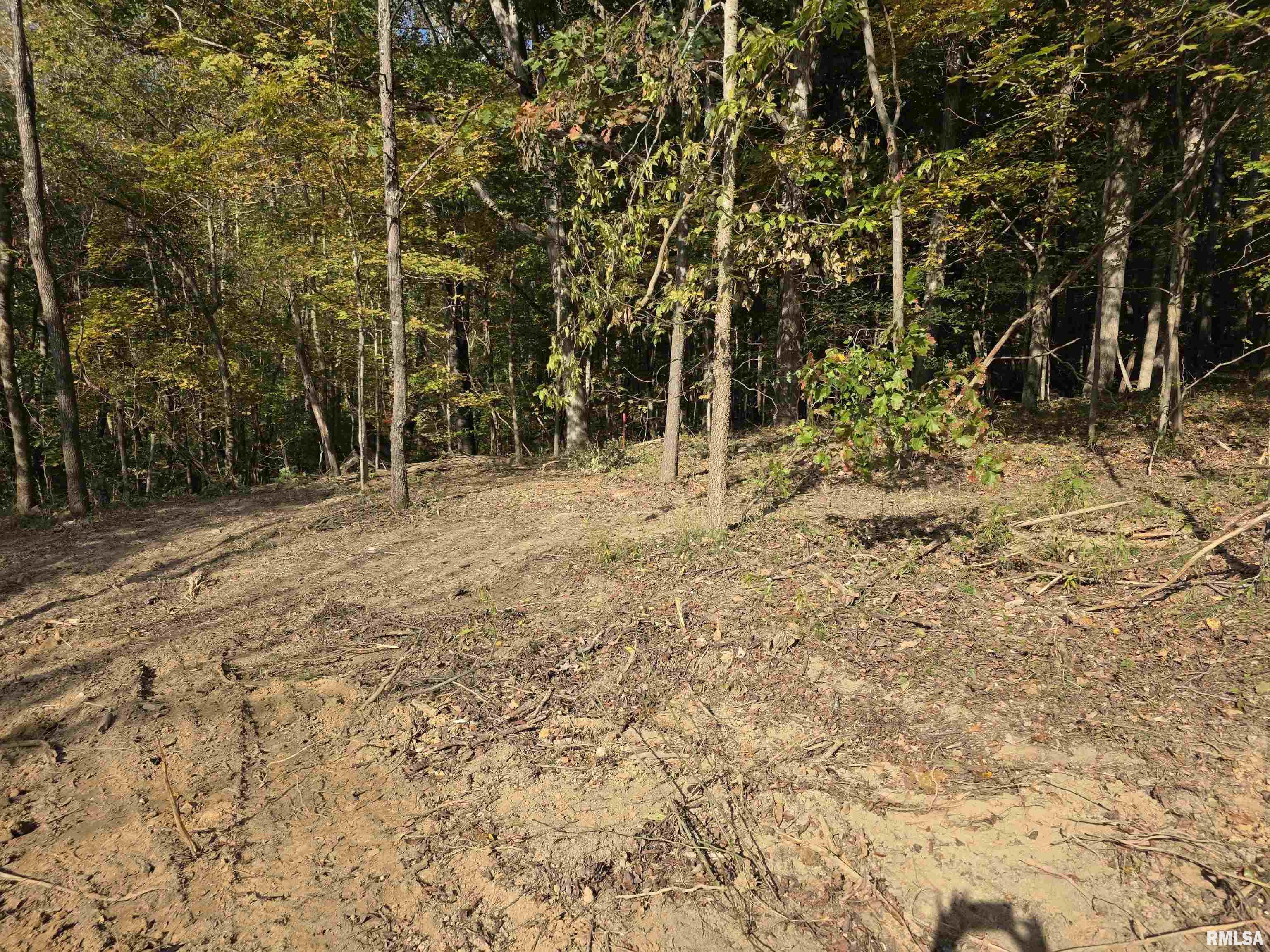 255 Yellow Springs Road Elizabethtown, IL 62931 - Photo 15 of 15