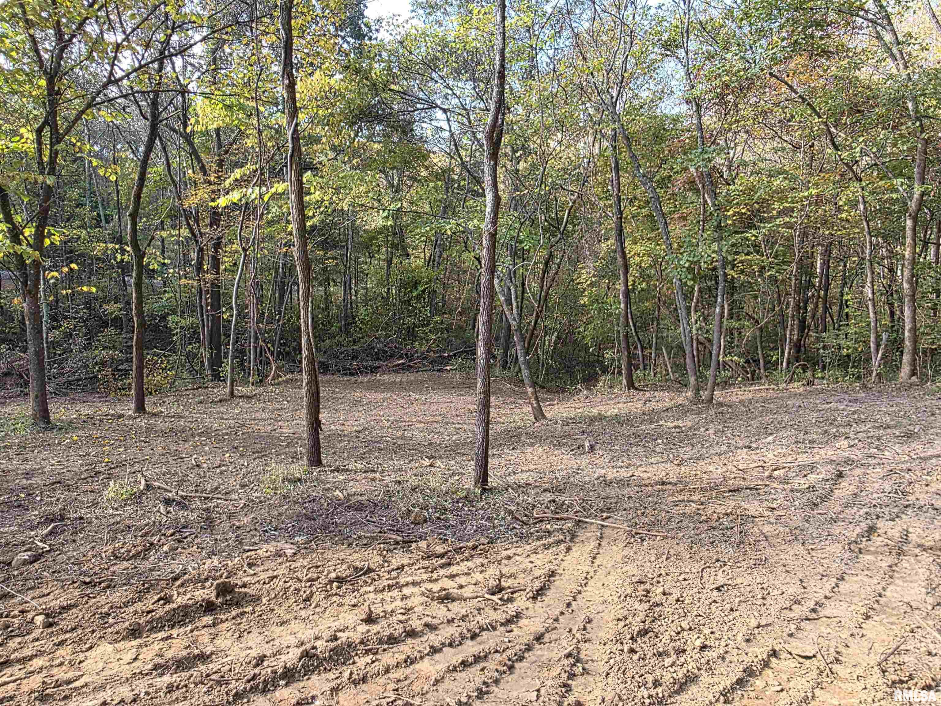 255 Yellow Springs Road Elizabethtown, IL 62931 - Photo 7 of 15