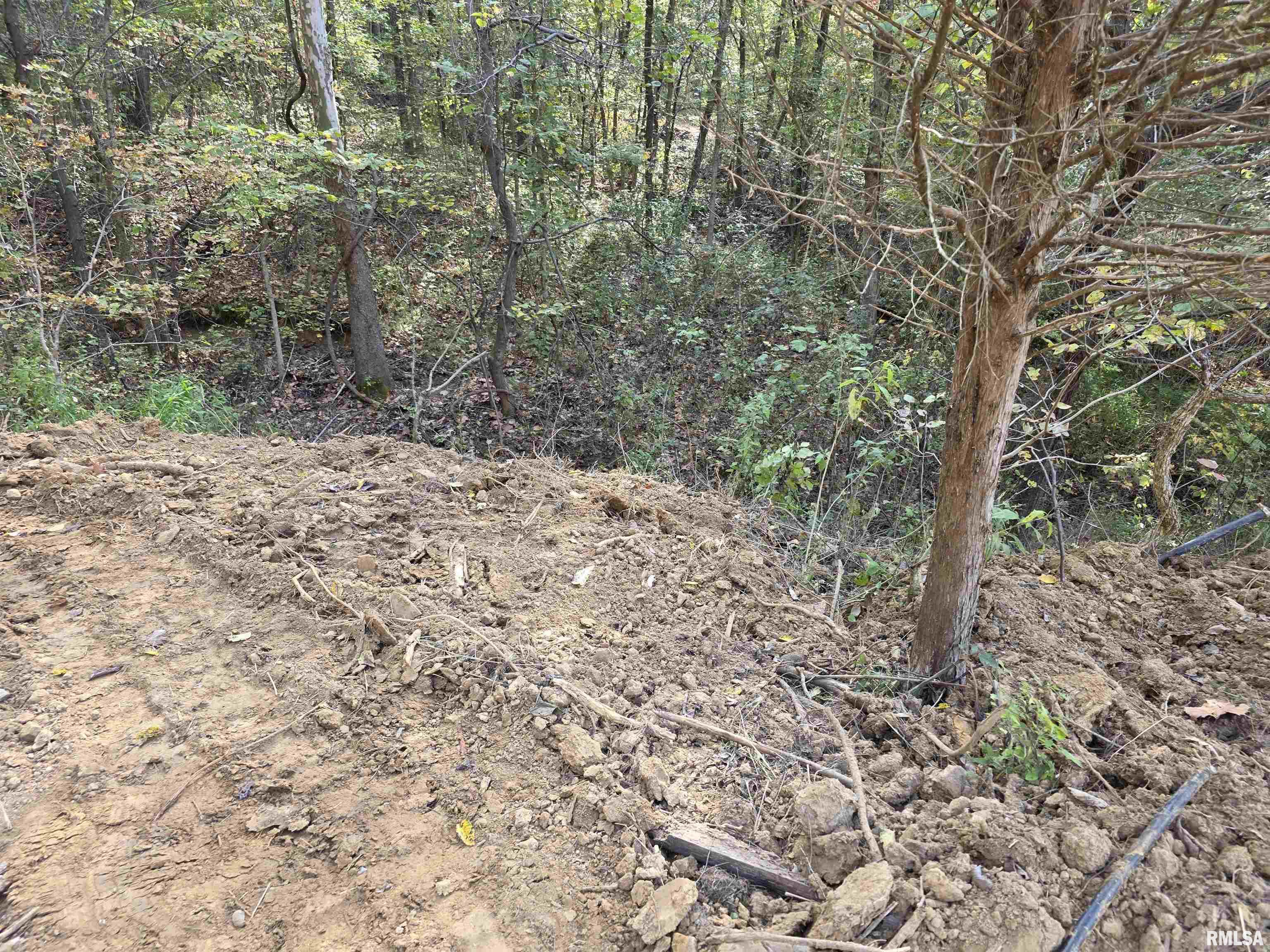 255 Yellow Springs Road Elizabethtown, IL 62931 - Photo 8 of 15