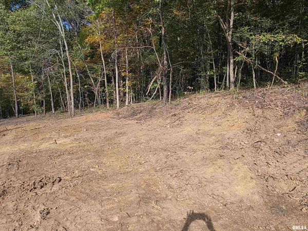 $54,000 | 255 Yellow Springs Road, Elizabethtown, IL 62931