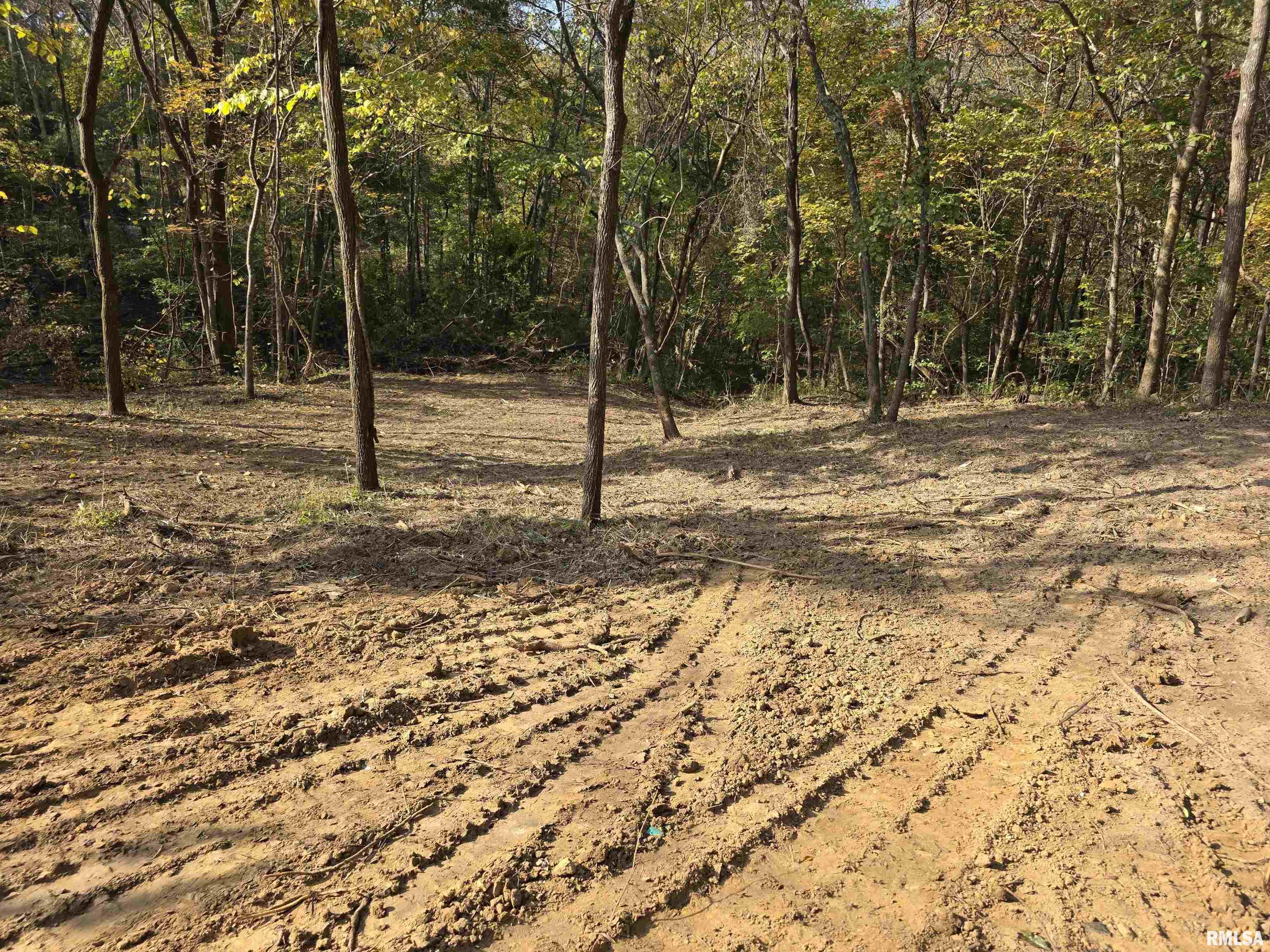 255 Yellow Springs Road Elizabethtown, IL 62931 - Photo 10 of 15