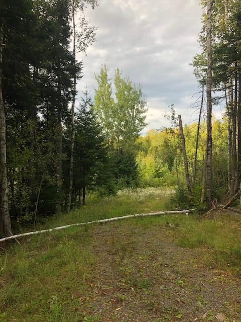 0 Main Street Sandy River Plt, ME 04970 - Photo 12 of 19 Road