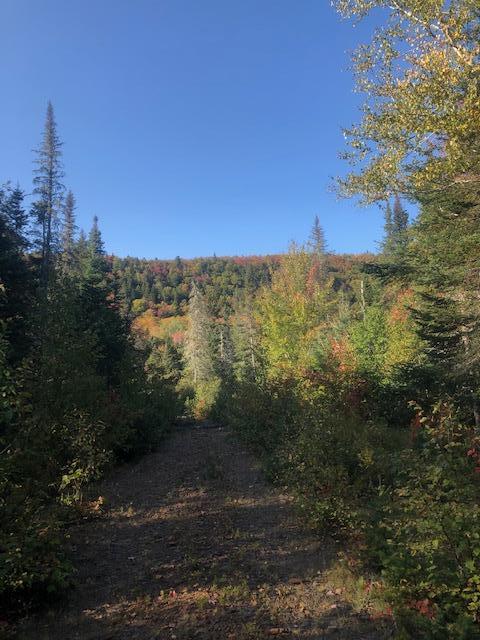 0 Main Street Sandy River Plt, ME 04970 - Photo 17 of 19 Views