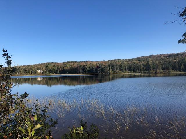 0 Main Street Sandy River Plt, ME 04970 - Photo 18 of 19 IMG_1096