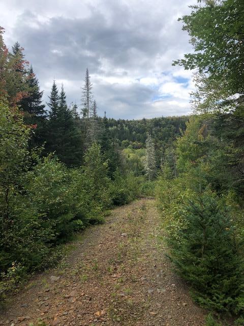 0 Main Street Sandy River Plt, ME 04970 - Photo 19 of 19 Road