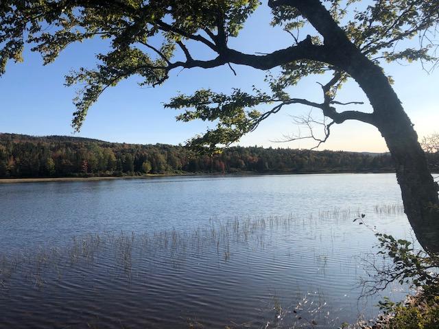 0 Main Street Sandy River Plt, ME 04970 - Photo 2 of 19 Pond