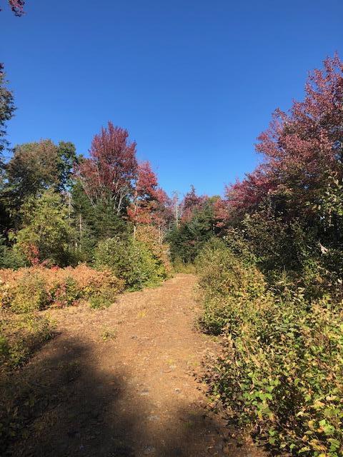 0 Main Street Sandy River Plt, ME 04970 - Photo 3 of 19 Road