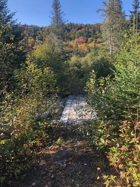 0 Main Street Sandy River Plt, ME 04970 - Photo 5 of 19 Bridge