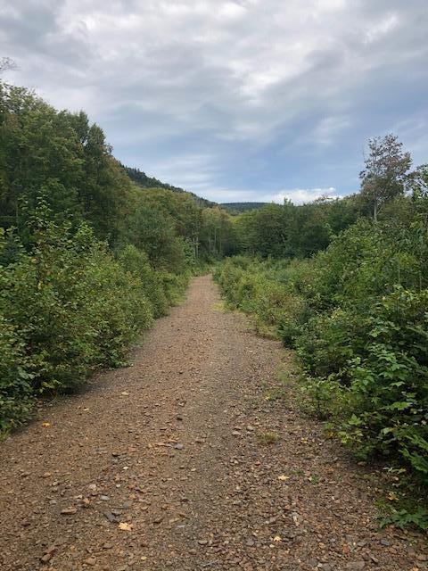 0 Main Street Sandy River Plt, ME 04970 - Photo 8 of 19 Road