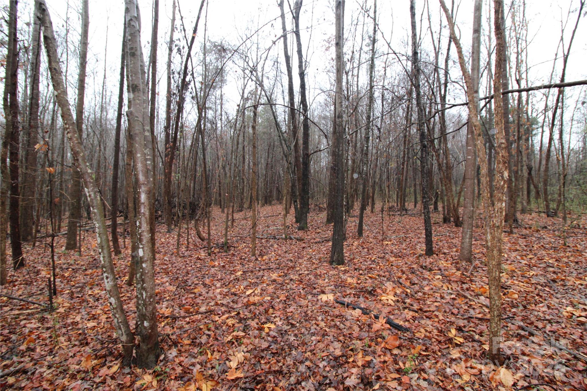 4.58-ac Eaker Road, Unit LOT 4 Bessemer City, NC 28016 - Photo 6 of 6