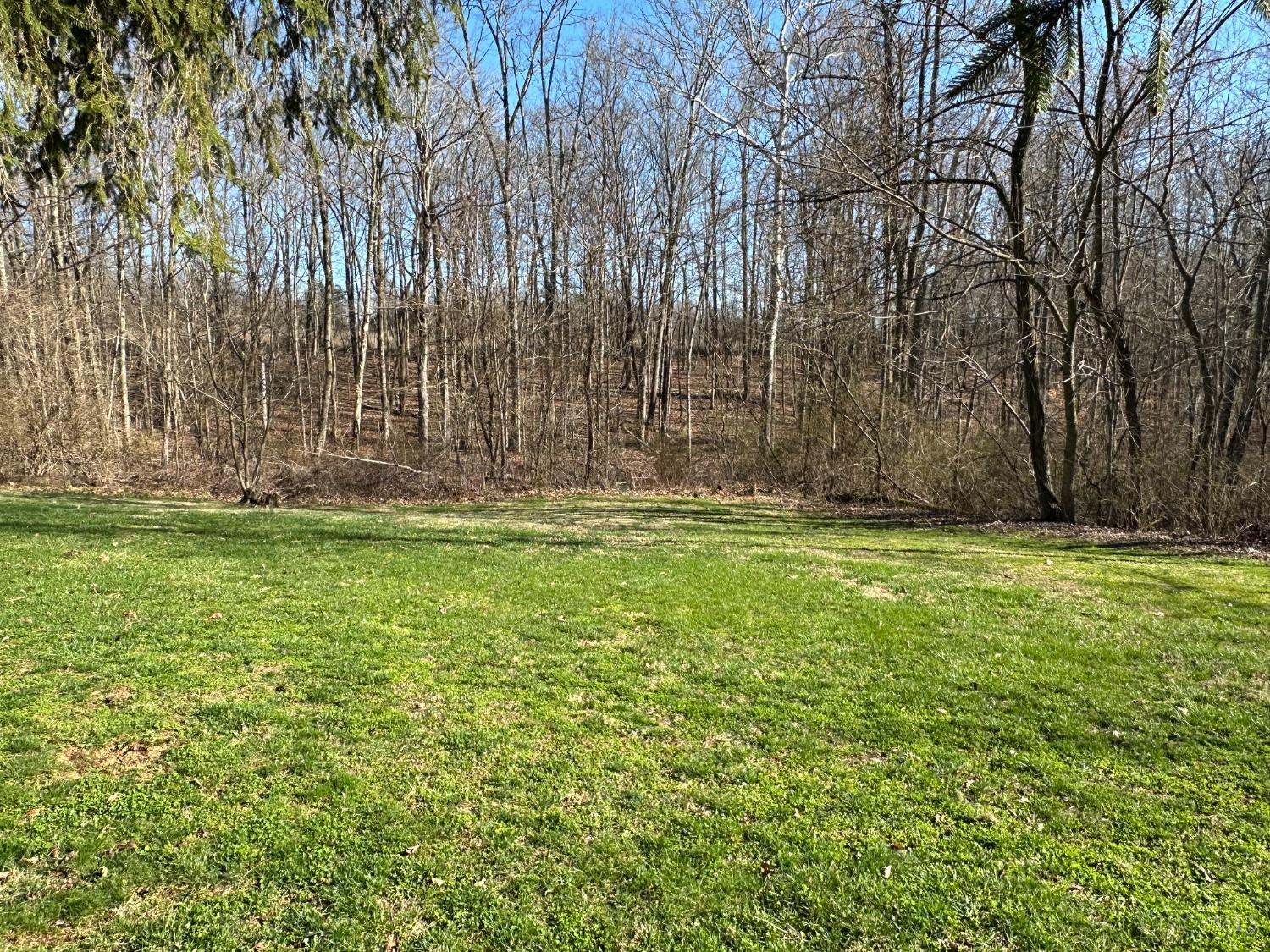 3960 Rapid Forge Road Bainbridge, OH 45612 - Photo 3 of 36