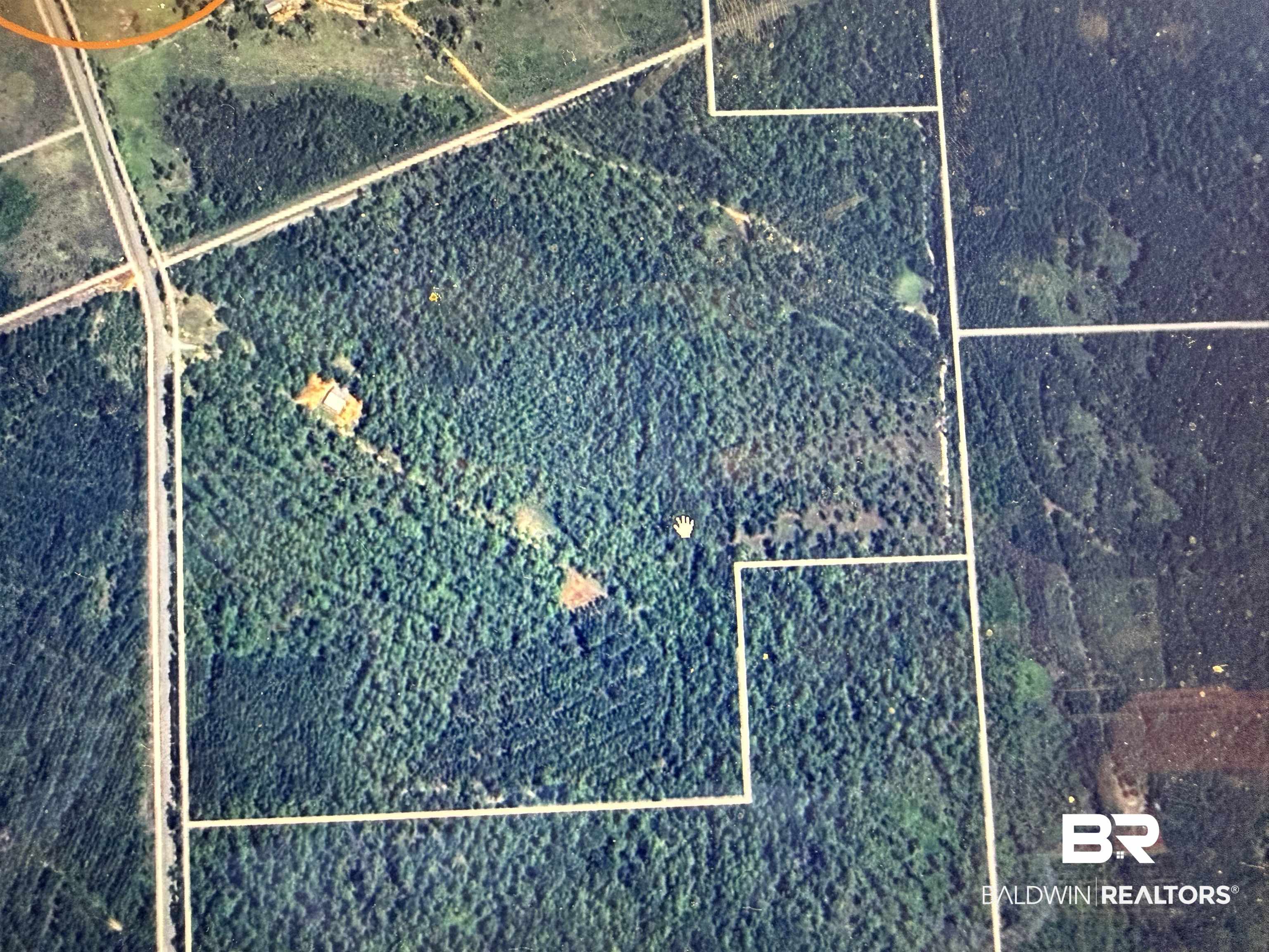 52462 Dyas Road Bay Minette, AL 36507 - Photo 9 of 9