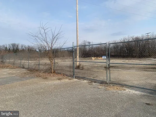 a view of a dry yard