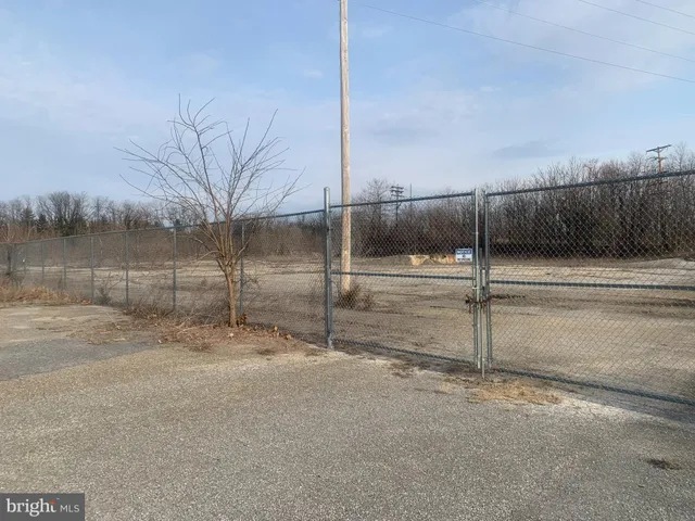 a view of a dry yard