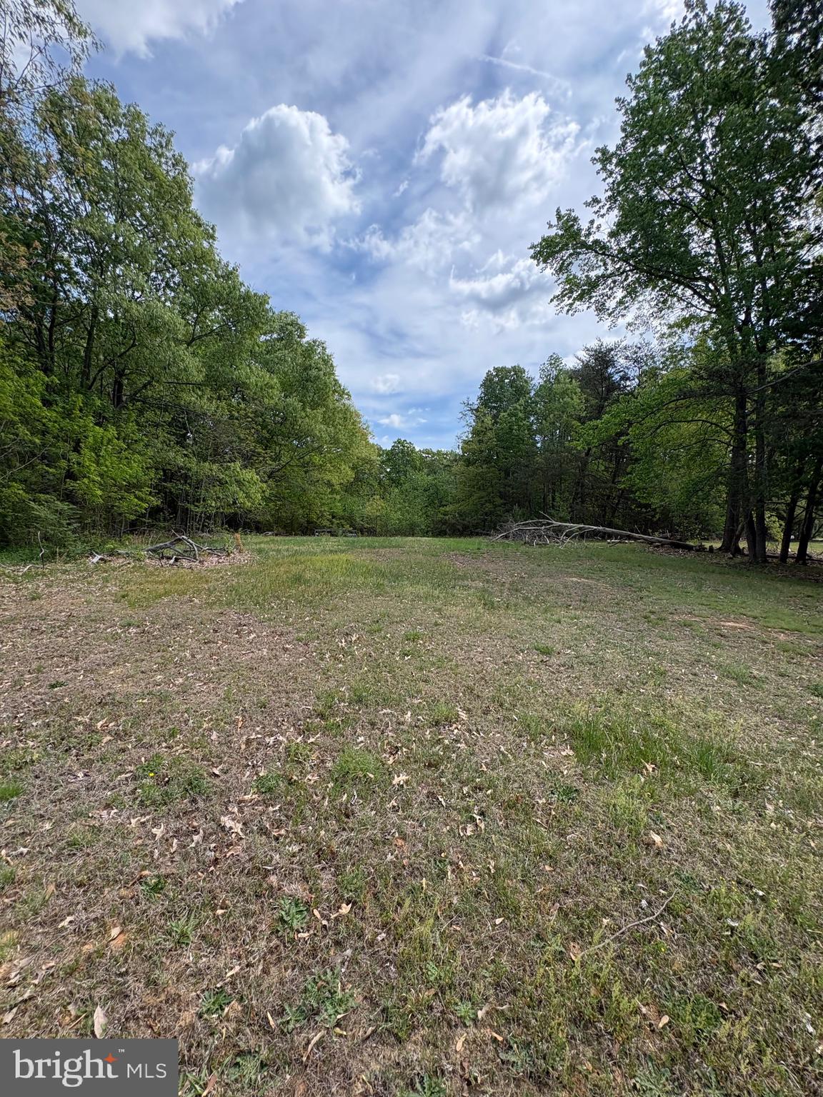 8670 Fairground Road Bel Alton, MD 20611 - Photo 8 of 14 Gallery Image 8