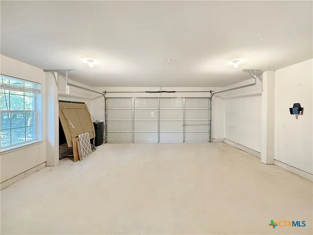 a view of a yard with plants and trees
