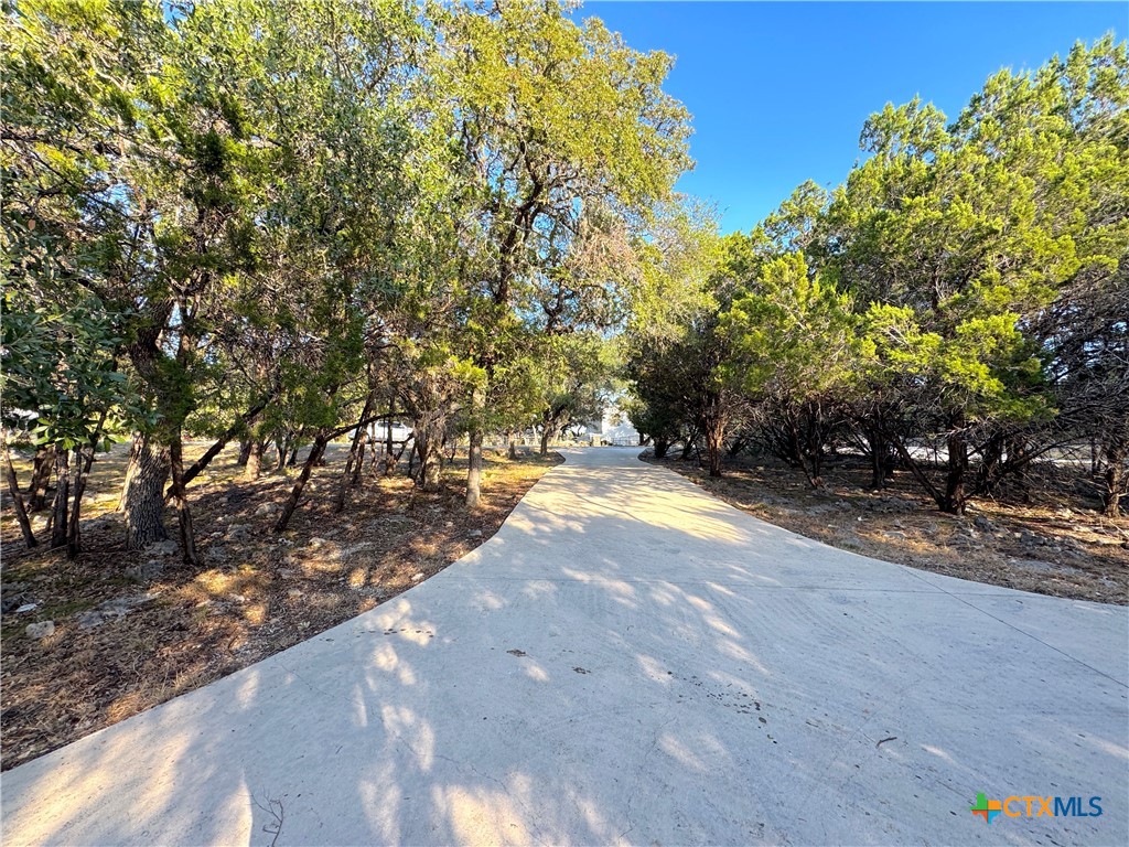 4575 Tanglewood Trail Spring Branch, TX 78070 - Photo 35 of 48 a view of a yard with plants and trees