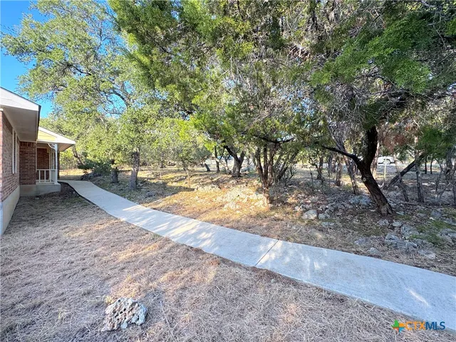 a view of a trees in a yard with a tree