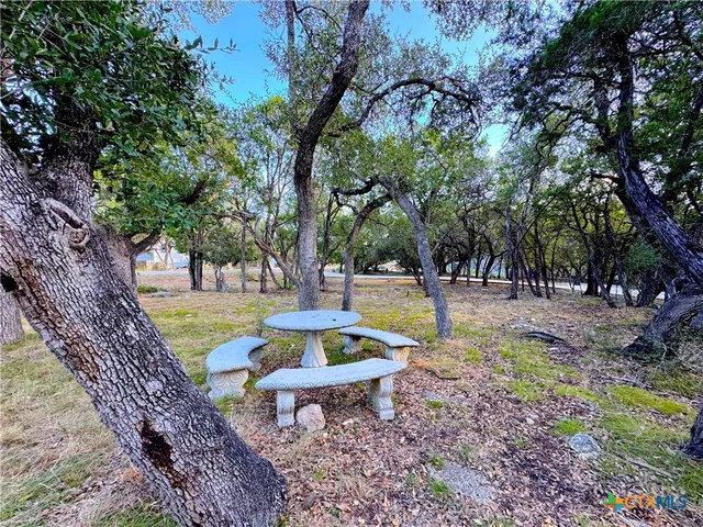 a view of a yard with plants and trees