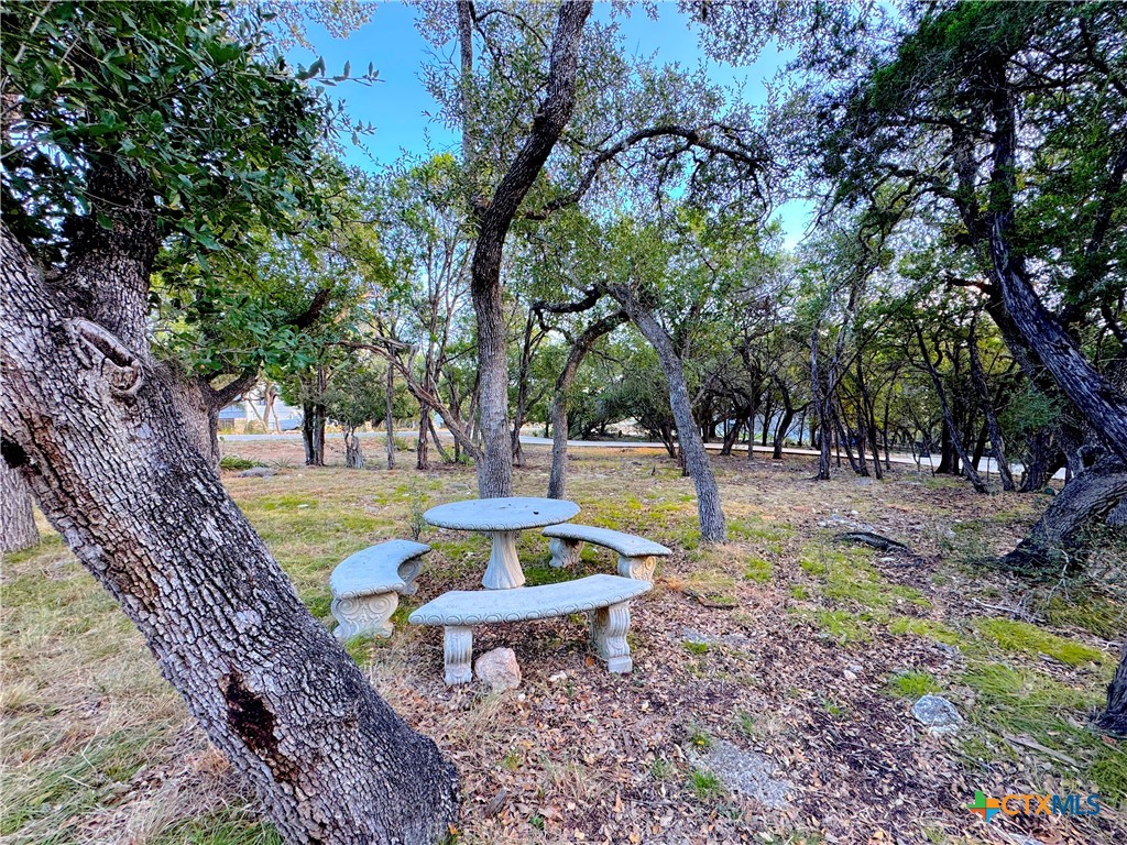 4575 Tanglewood Trail Spring Branch, TX 78070 - Photo 37 of 48 FRONT YARD