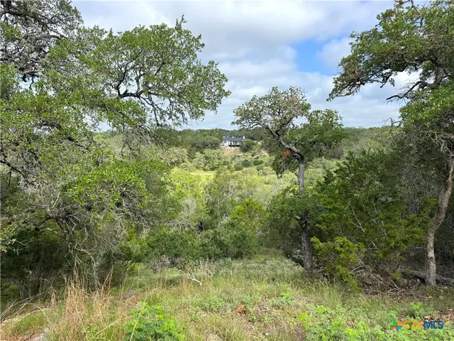 a view of a house with backyard and trees