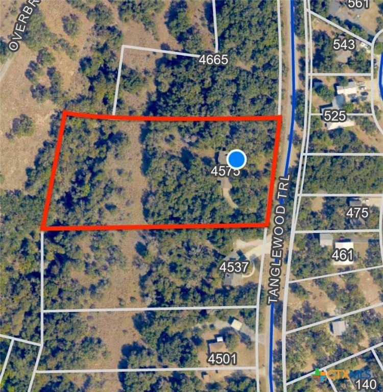 4575 Tanglewood Trail Spring Branch, TX 78070 - Photo 41 of 48