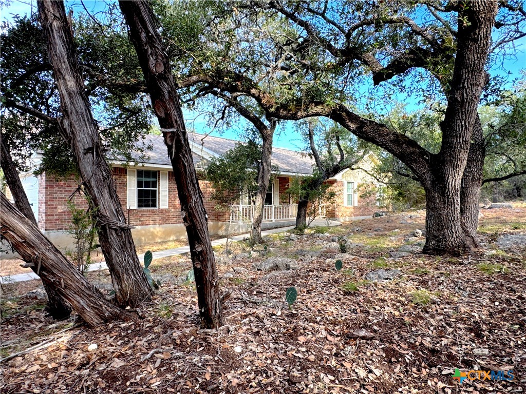 4575 Tanglewood Trail Spring Branch, TX 78070 - Photo 42 of 48 a view of a trees in a yard with a tree