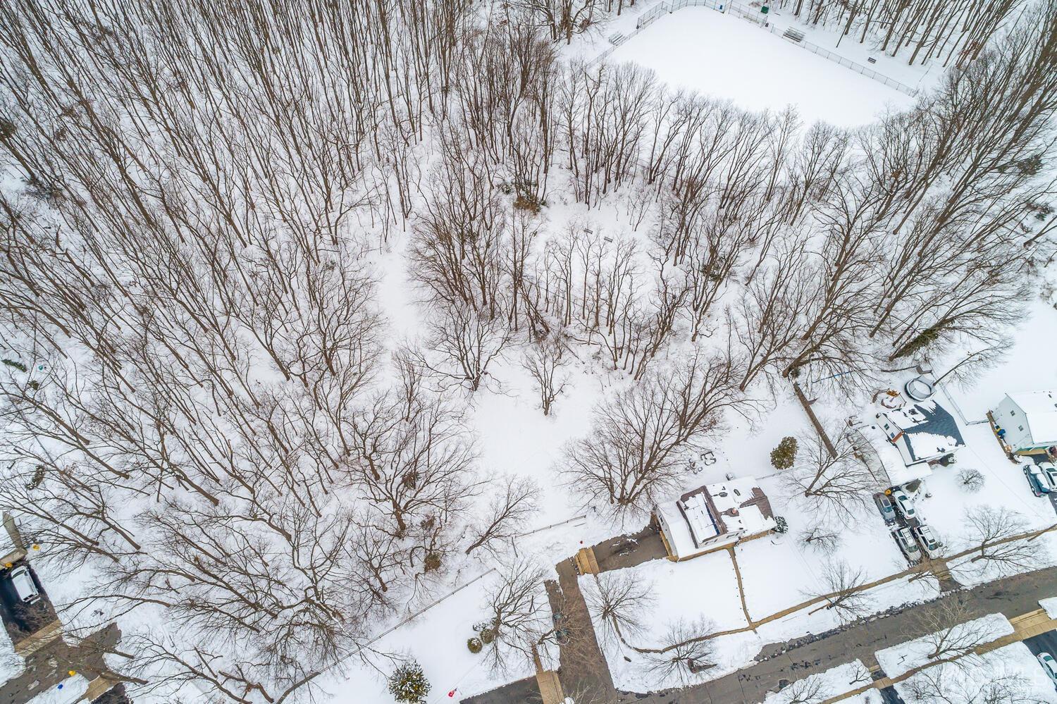 21 Albemarle Road East Brunswick, NJ 08816 - Photo 8 of 44 Gallery Image 8