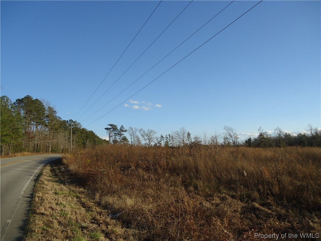 6.9-ac Colonial Trail West Dendron, VA 23839 - Photo 20 of 23 Gallery Image 20