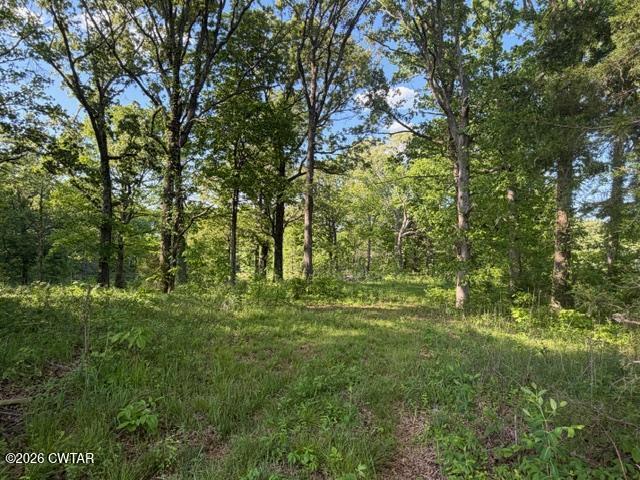 0 McBride Cemetery Road Sardis, TN 38371 - Photo 11 of 41 a big yard with lots of green space and trees