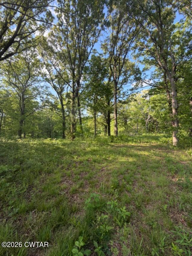 0 McBride Cemetery Road Sardis, TN 38371 - Photo 12 of 41 a view of outdoor space with trees all around