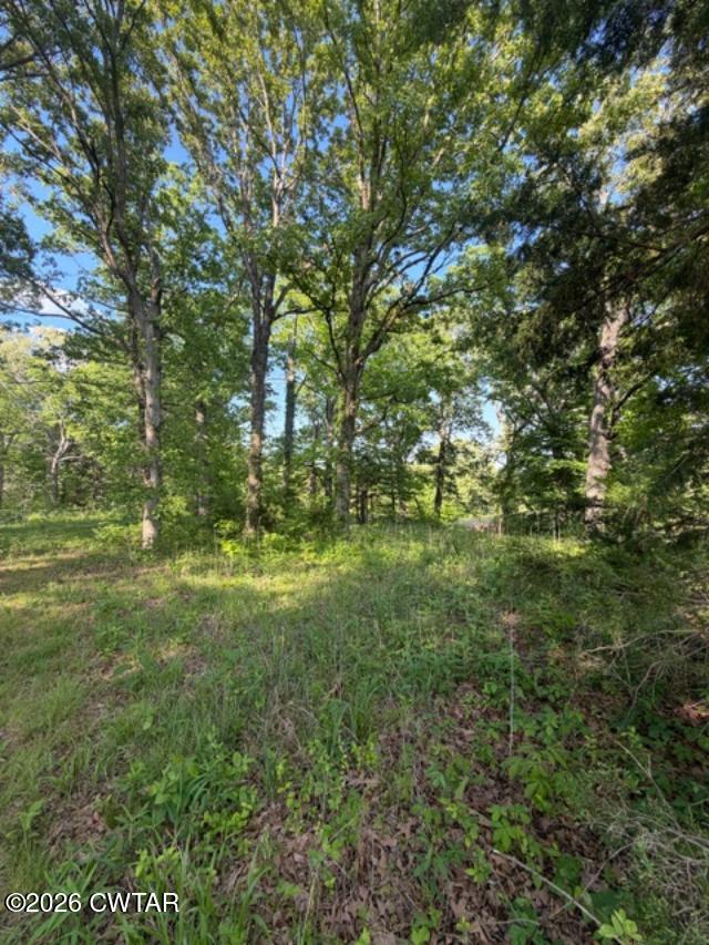 0 McBride Cemetery Road Sardis, TN 38371 - Photo 13 of 41 a view of outdoor space and yard
