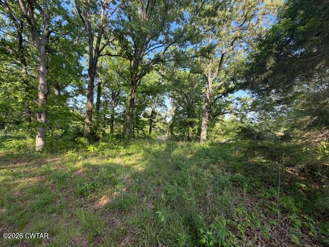 0 McBride Cemetery Road Sardis, TN 38371 - Photo 15 of 41 a view of a yard