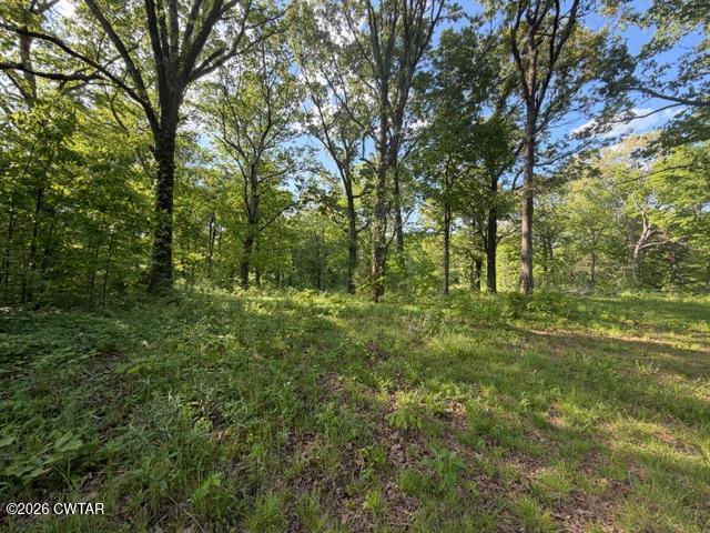 0 McBride Cemetery Road Sardis, TN 38371 - Photo 16 of 41 a large yard with lots of green space and house in the back