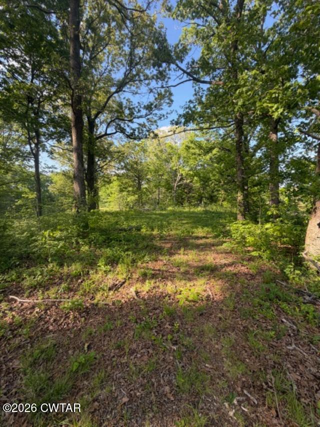0 McBride Cemetery Road Sardis, TN 38371 - Photo 17 of 41 a view of a trees with a yard
