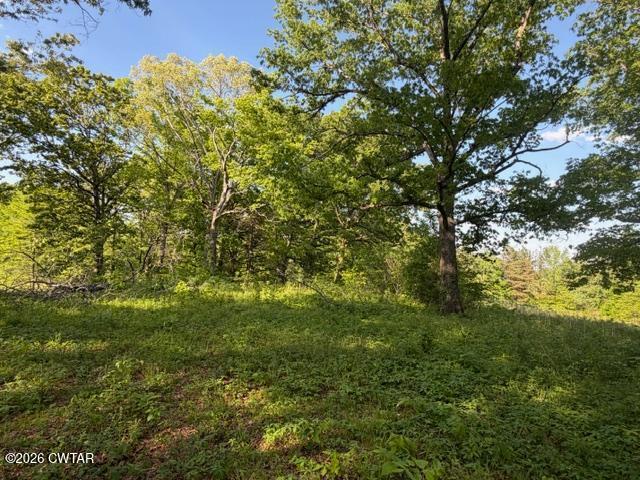 0 McBride Cemetery Road Sardis, TN 38371 - Photo 19 of 41 a view of a big yard