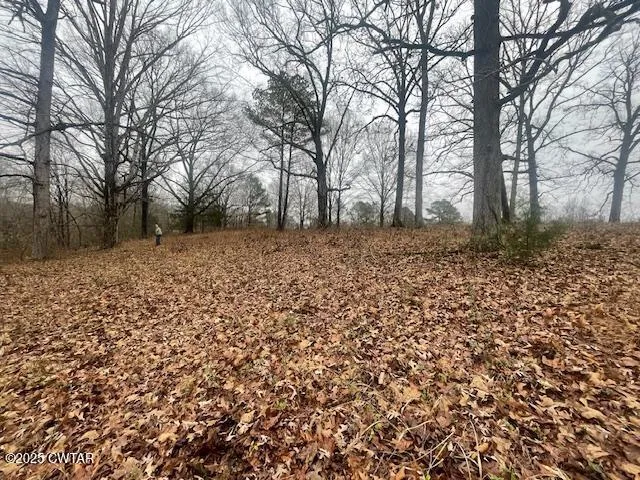 a view of a yard with trees