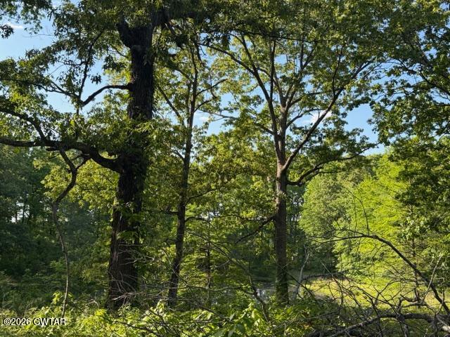 0 McBride Cemetery Road Sardis, TN 38371 - Photo 20 of 41 32