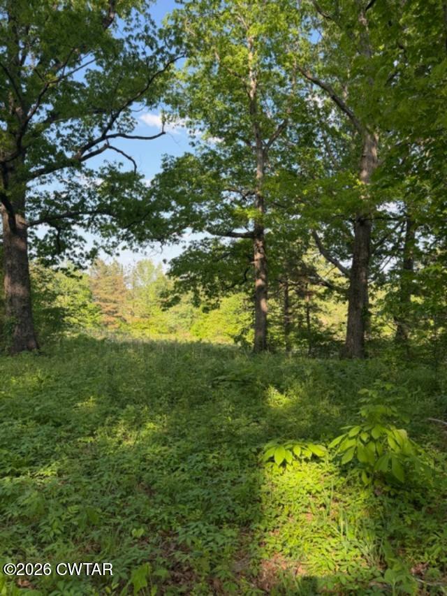0 McBride Cemetery Road Sardis, TN 38371 - Photo 2 of 41 a view of a lake with a tree