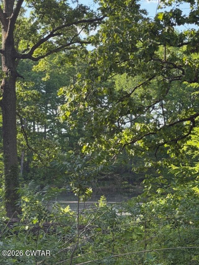0 McBride Cemetery Road Sardis, TN 38371 - Photo 22 of 41 a picture of tree