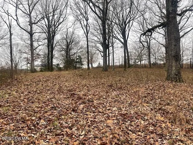 a view of a yard with trees
