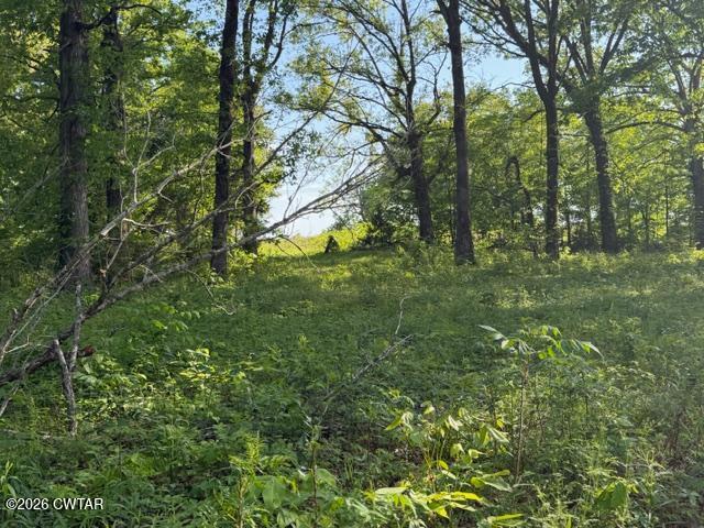 0 McBride Cemetery Road Sardis, TN 38371 - Photo 23 of 41 a big yard with lots of green space and house