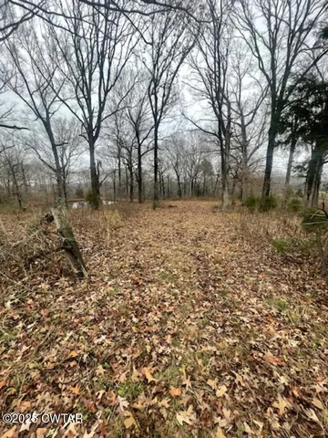 a view of a yard with trees