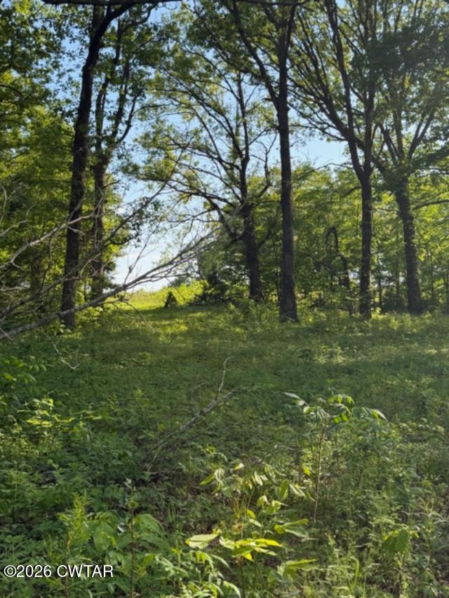 0 McBride Cemetery Road Sardis, TN 38371 - Photo 24 of 41 a big yard with lots of green space and trees
