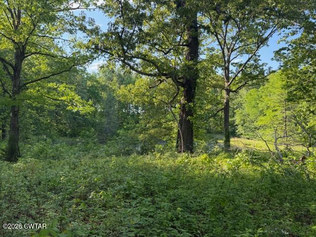 0 McBride Cemetery Road Sardis, TN 38371 - Photo 26 of 41 a view of a lush green forest